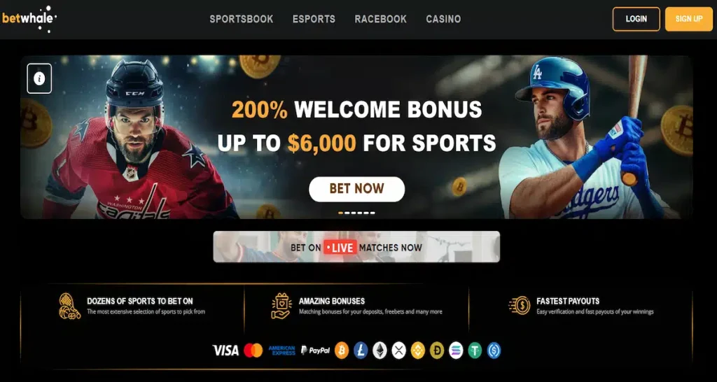 BetWhale table tennis betting app – fast crypto payouts and sharp betting lines